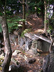IMGP3531.jpg