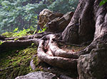 IMGP3532.jpg