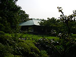 IMGP3533.jpg