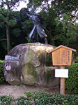 IMGP3548.jpg