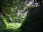 IMGP3549.jpg