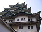 IMGP3564.jpg