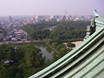 IMGP3579.jpg