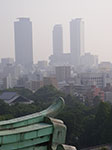 IMGP3580.jpg