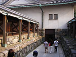 IMGP3584.jpg