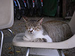 IMGP3587.jpg