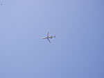 IMGP3596.jpg