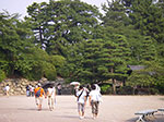 IMGP3597.jpg