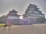 IMGP3599-hdr.jpg