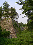 IMGP3602.jpg