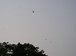 IMGP3613.jpg