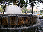 IMGP3632.jpg