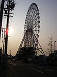IMGP3644.jpg