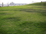 IMGP3672.jpg