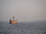IMGP3679.jpg