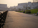 IMGP3682.jpg