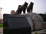 IMGP3715.jpg