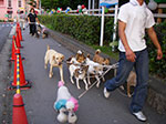 IMGP3716.jpg