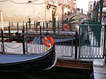 IMGP3721.jpg