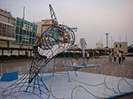 IMGP3743.jpg