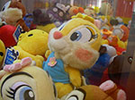 IMGP3747.jpg
