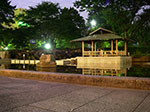 IMGP3750.jpg