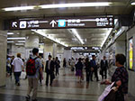 IMGP3785.jpg