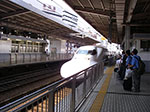 IMGP3790.jpg