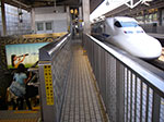 IMGP3855.jpg