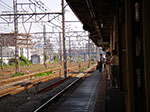 IMGP3864.jpg