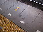IMGP3868.jpg