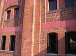 IMGP3917.jpg