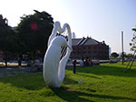 IMGP3920.jpg