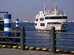 IMGP3922.jpg