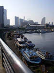 IMGP3931.jpg