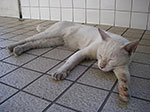 IMGP3934.jpg