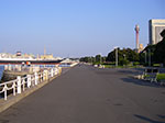 IMGP3937.jpg