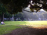 IMGP3939.jpg
