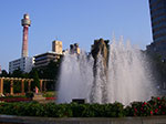 IMGP3953.jpg