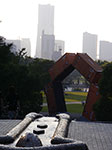 IMGP3973.jpg
