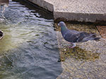 IMGP3974.jpg