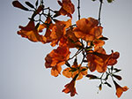 IMGP3975.jpg