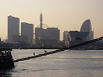 IMGP3981.jpg