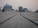 IMGP4041.jpg