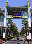 IMGP4129.jpg