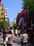 IMGP4134.jpg