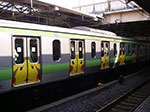 IMGP4156.jpg