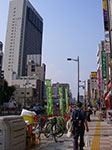IMGP4166.jpg