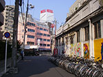 IMGP4168.jpg