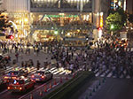 IMGP4182.jpg